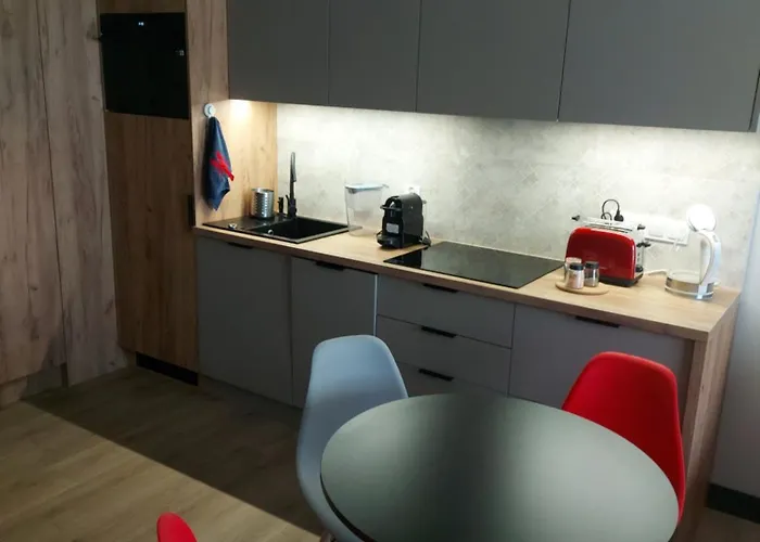 Apartament Baltic Loft